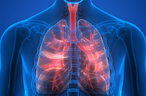 Respiratory Allergies Michigan | Allergy & Asthma Center of Rochester - callout-respiratory-allergies